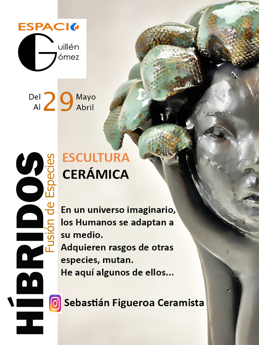 Híbridos: Fusión de Especies — Sebastián Figueroa Ceramista